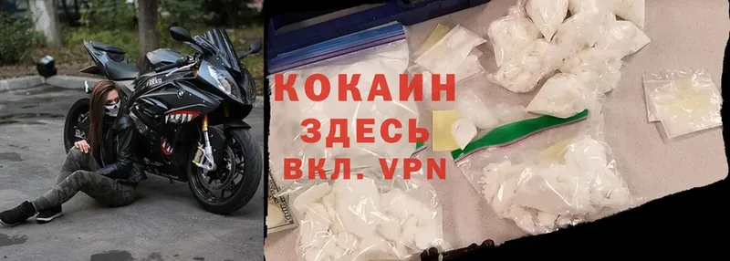 купить наркоту  Когалым  Cocaine Эквадор 